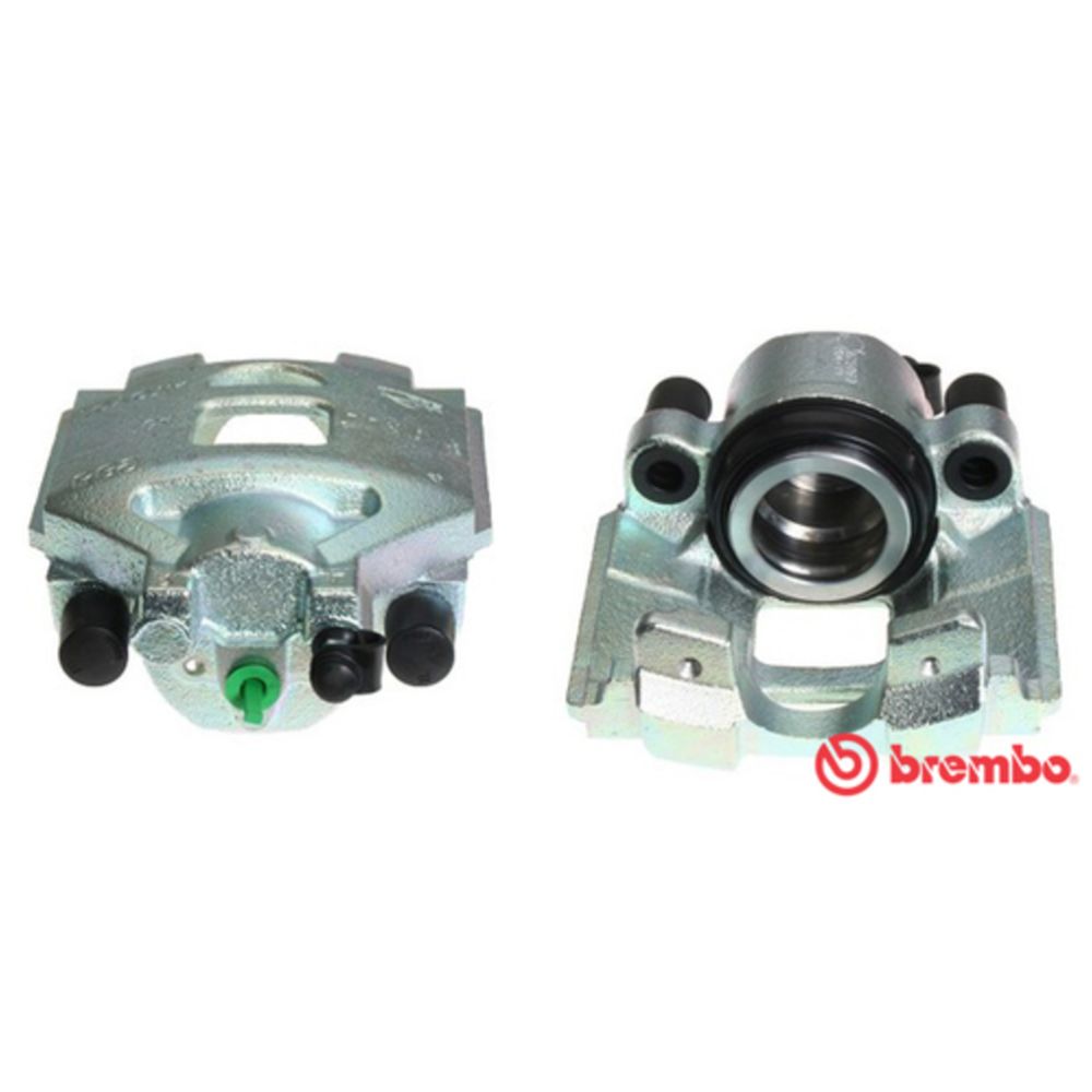 Jarrusatula 23-00138