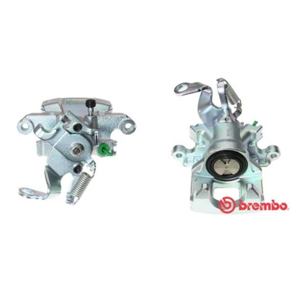 Jarrusatula 23-00490