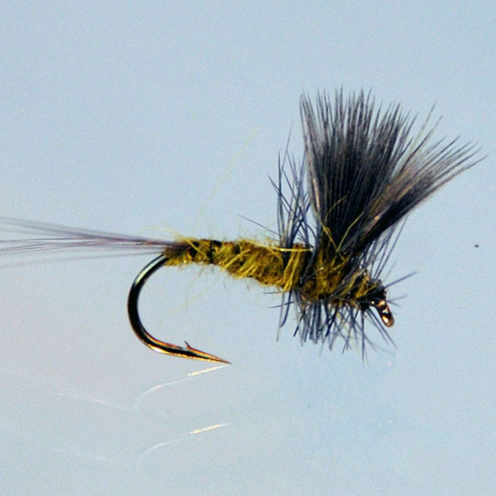 MTX Fishing Dries I pintaperholajitelma koko 8 kpl