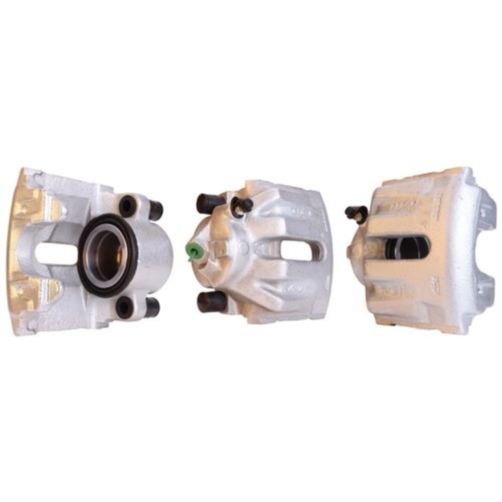 Jarrusatula 23-00443