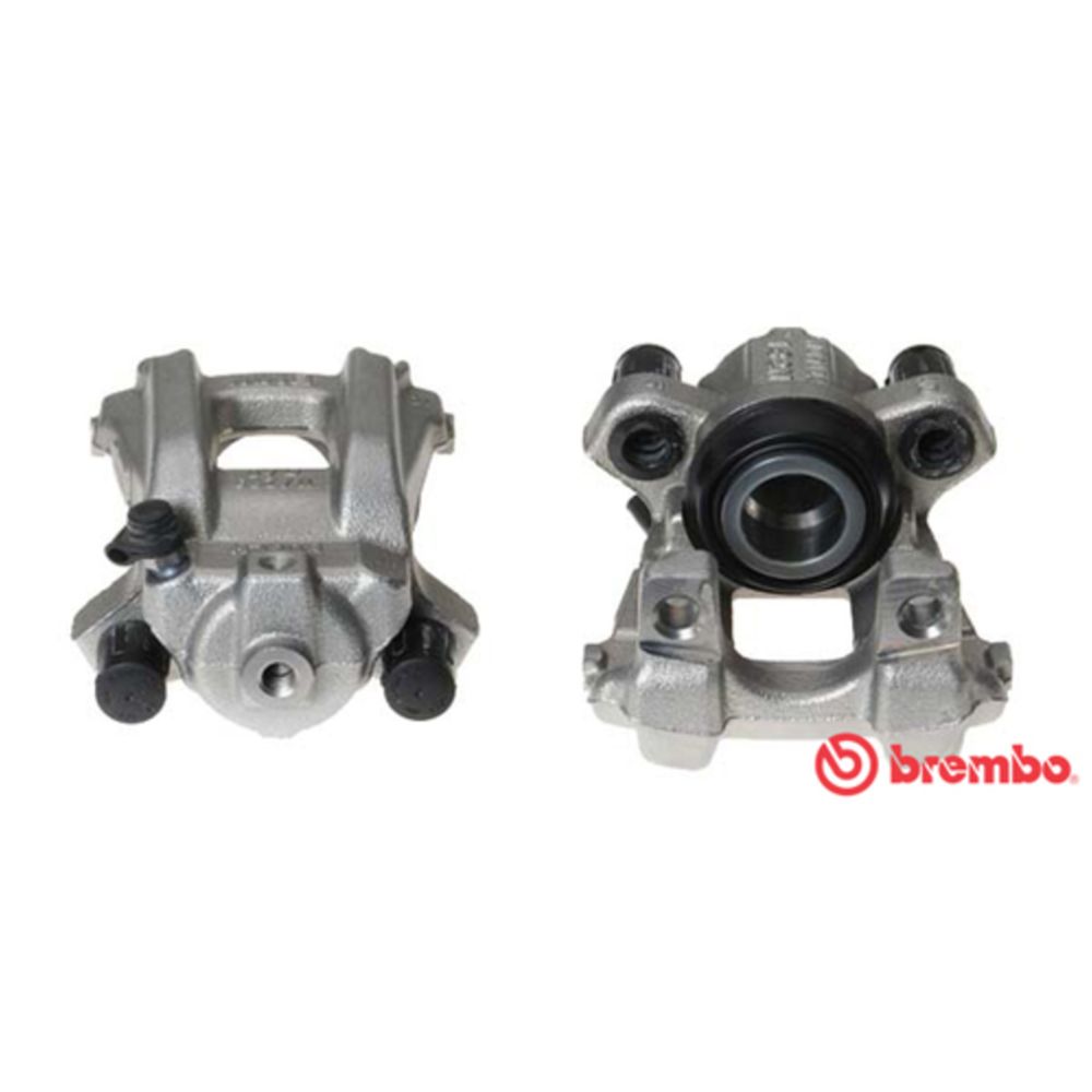 Jarrusatula 23-01148