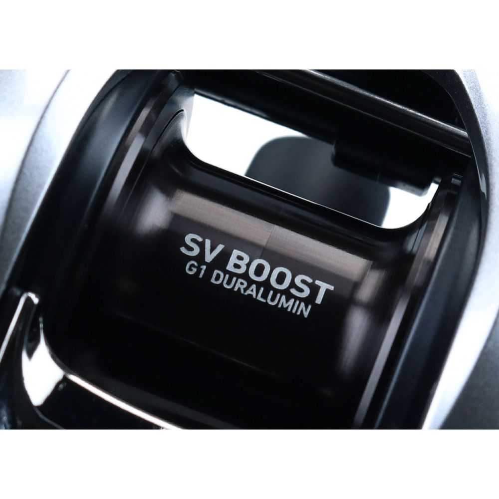 Daiwa 21 Zillion SV TW 100H multirulla