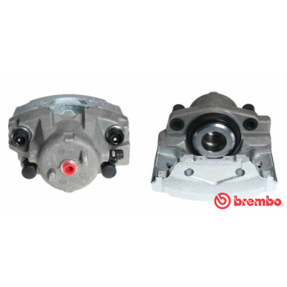 Jarrusatula 23-00214