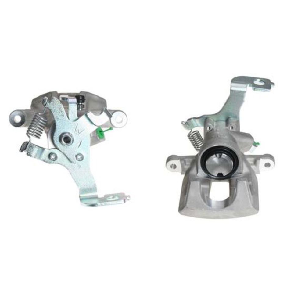 Jarrusatula 23-00241