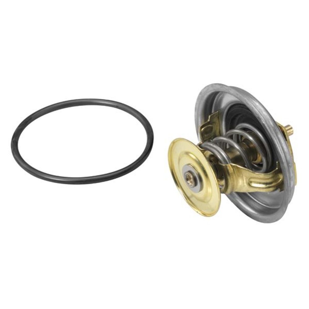 Termostat 30-6165