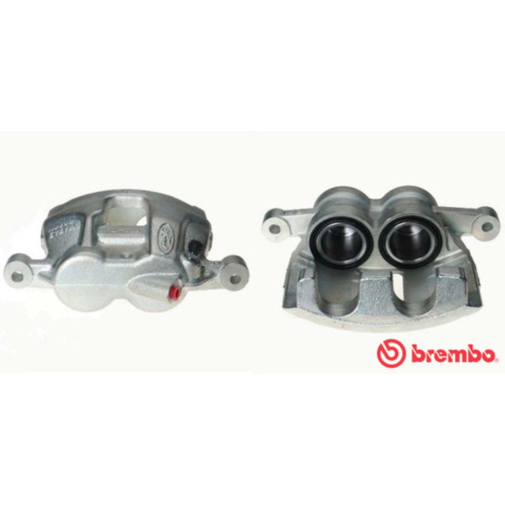 Jarrusatula 23-00238