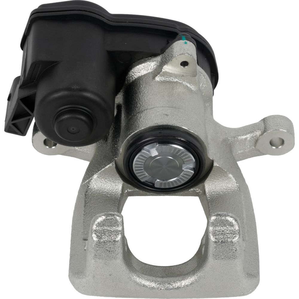 Jarrusatula 23-02698