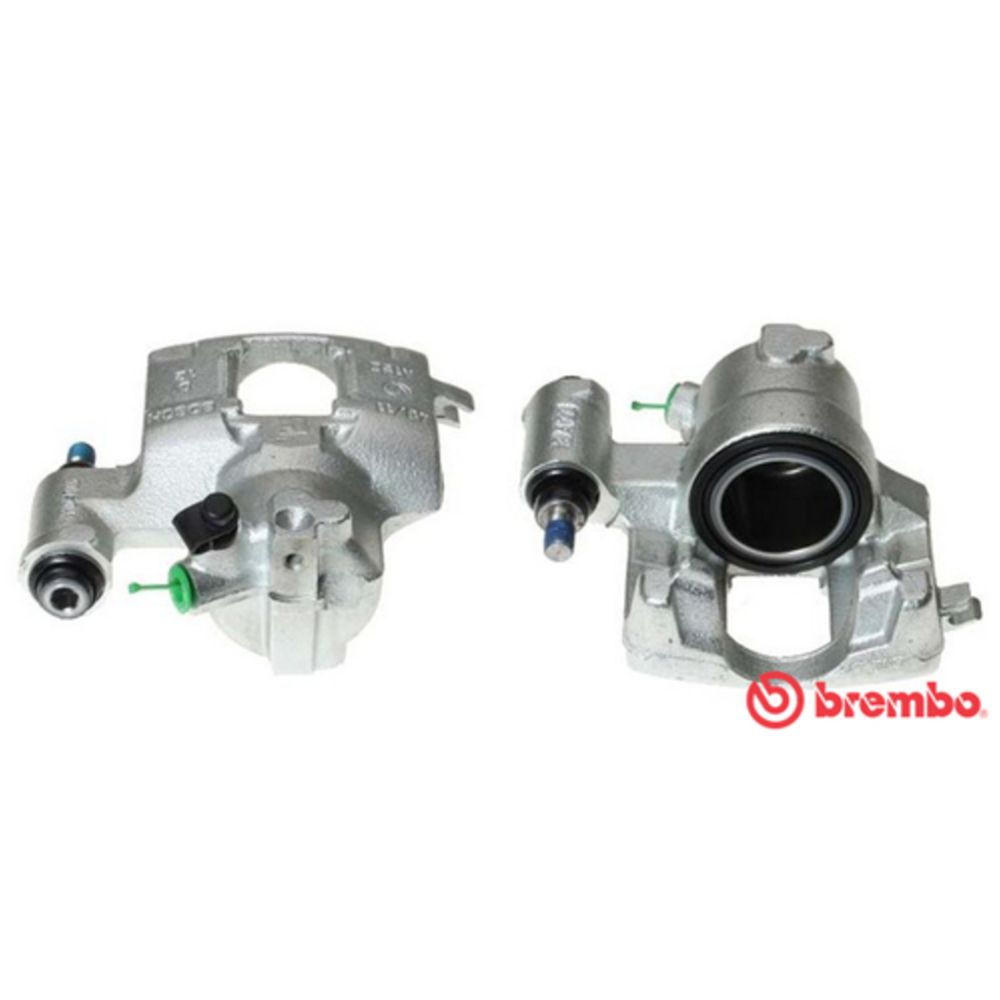 Jarrusatula 23-01484