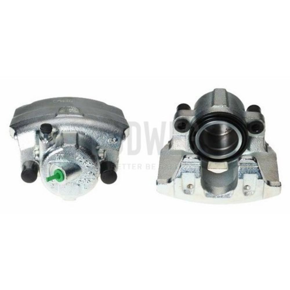 Jarrusatula 23-00884