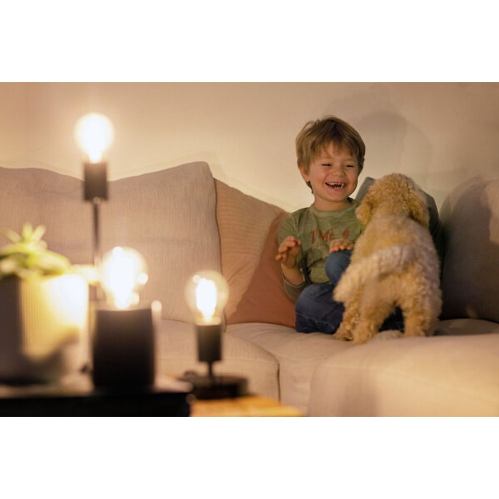 Airam Smart LED Edison lampa E27 4,9 W 1800–3000 K 350 lm