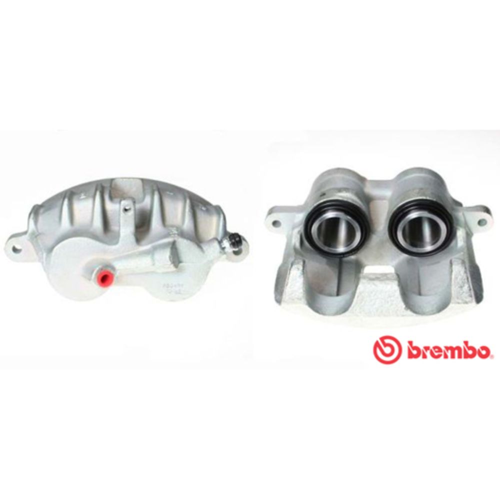 Jarrusatula 23-01040