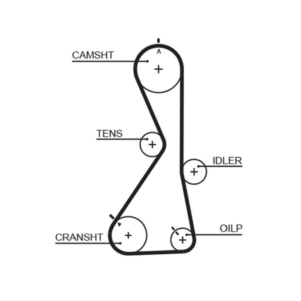 Kuggrem 25-5986