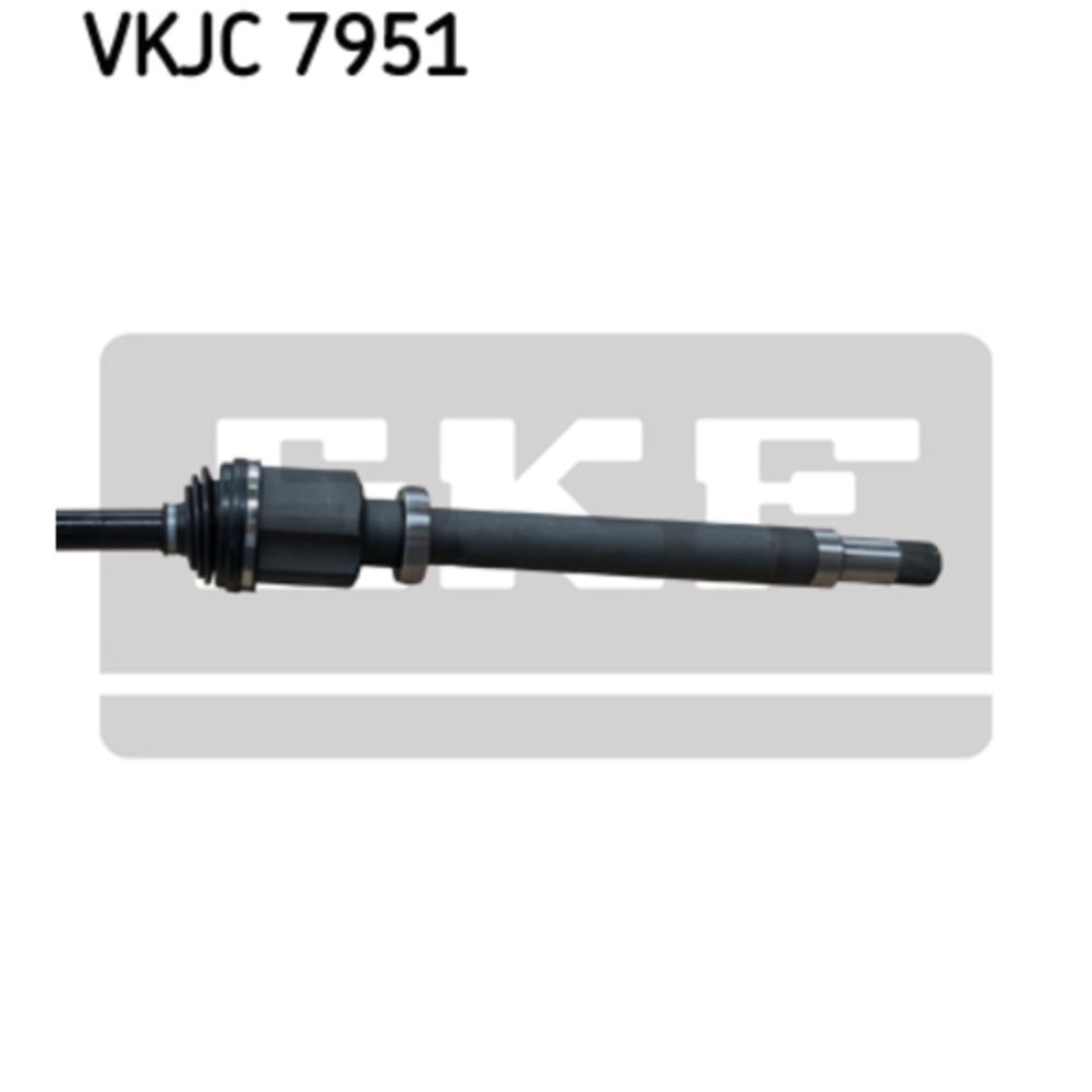 Veovõll 17-06653