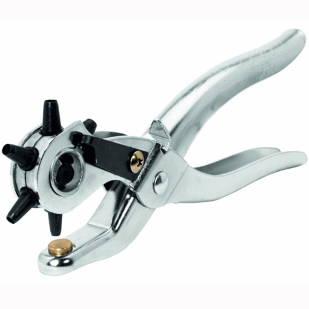 Rapid RP03 augutangid