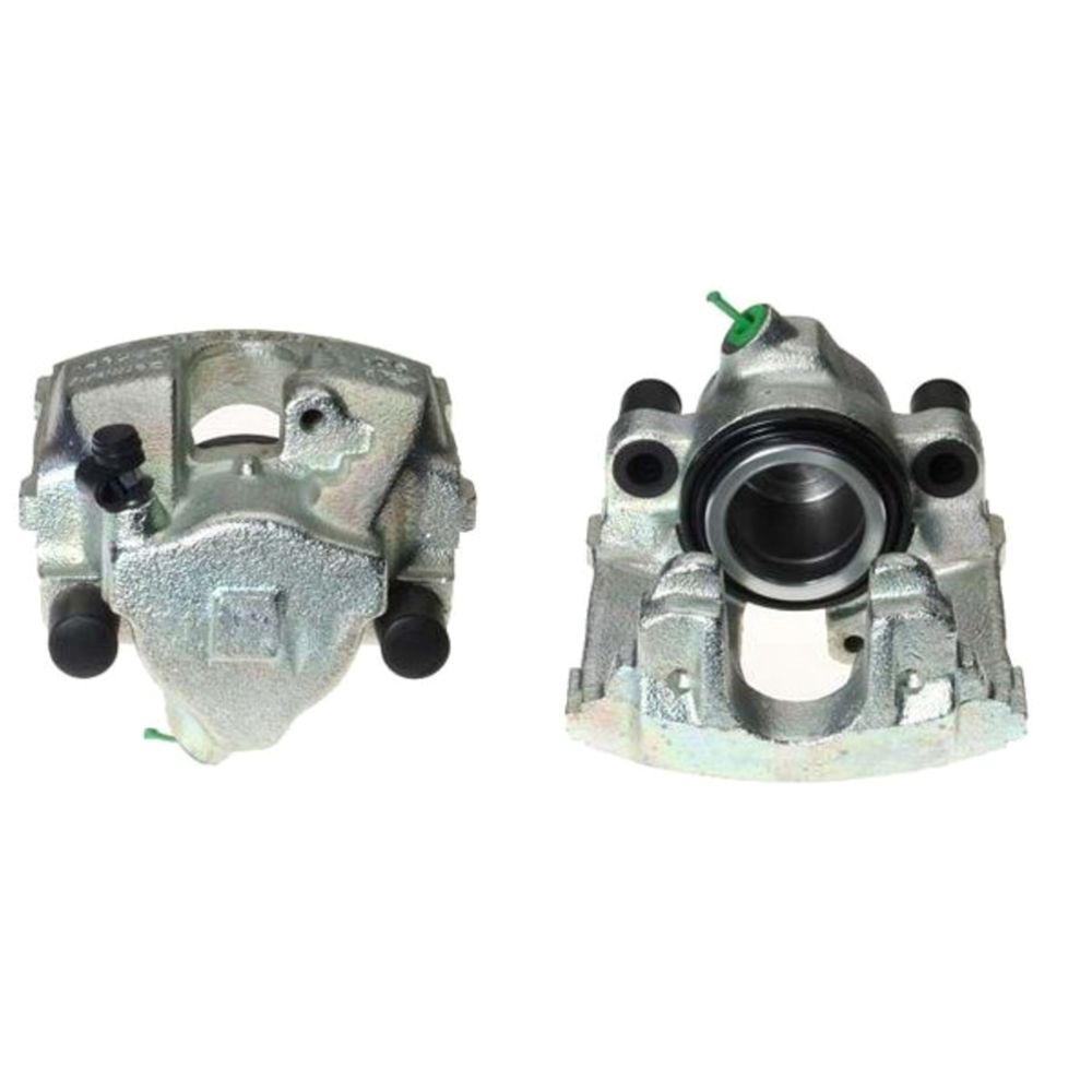 Jarrusatula 23-00227