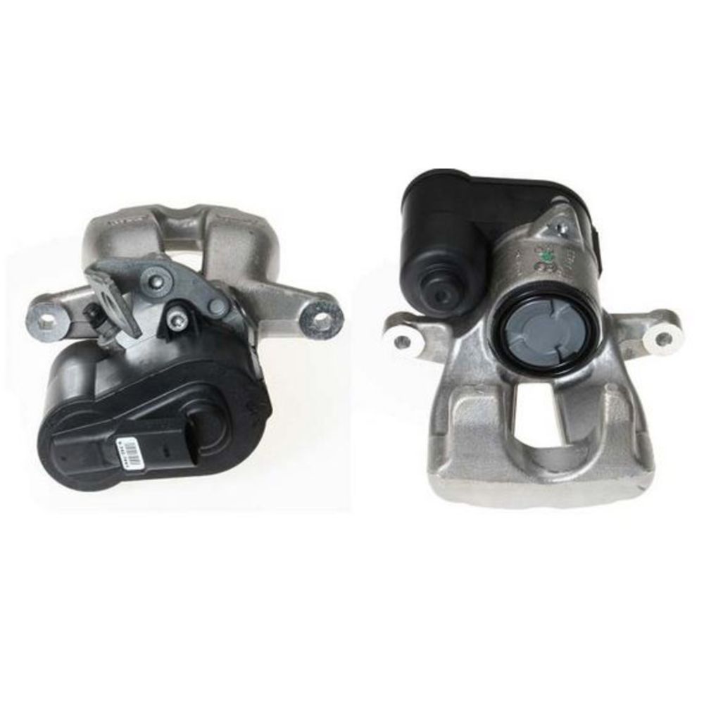 Jarrusatula 23-00225