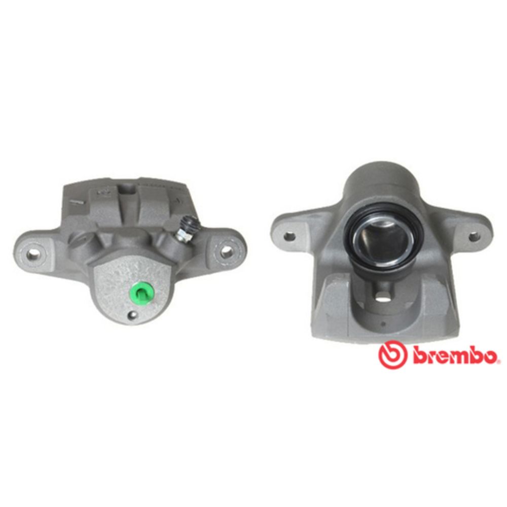 Jarrusatula 23-01382