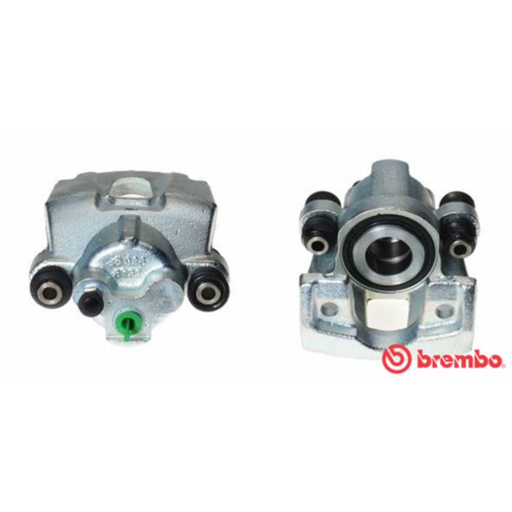 Jarrusatula 23-01396