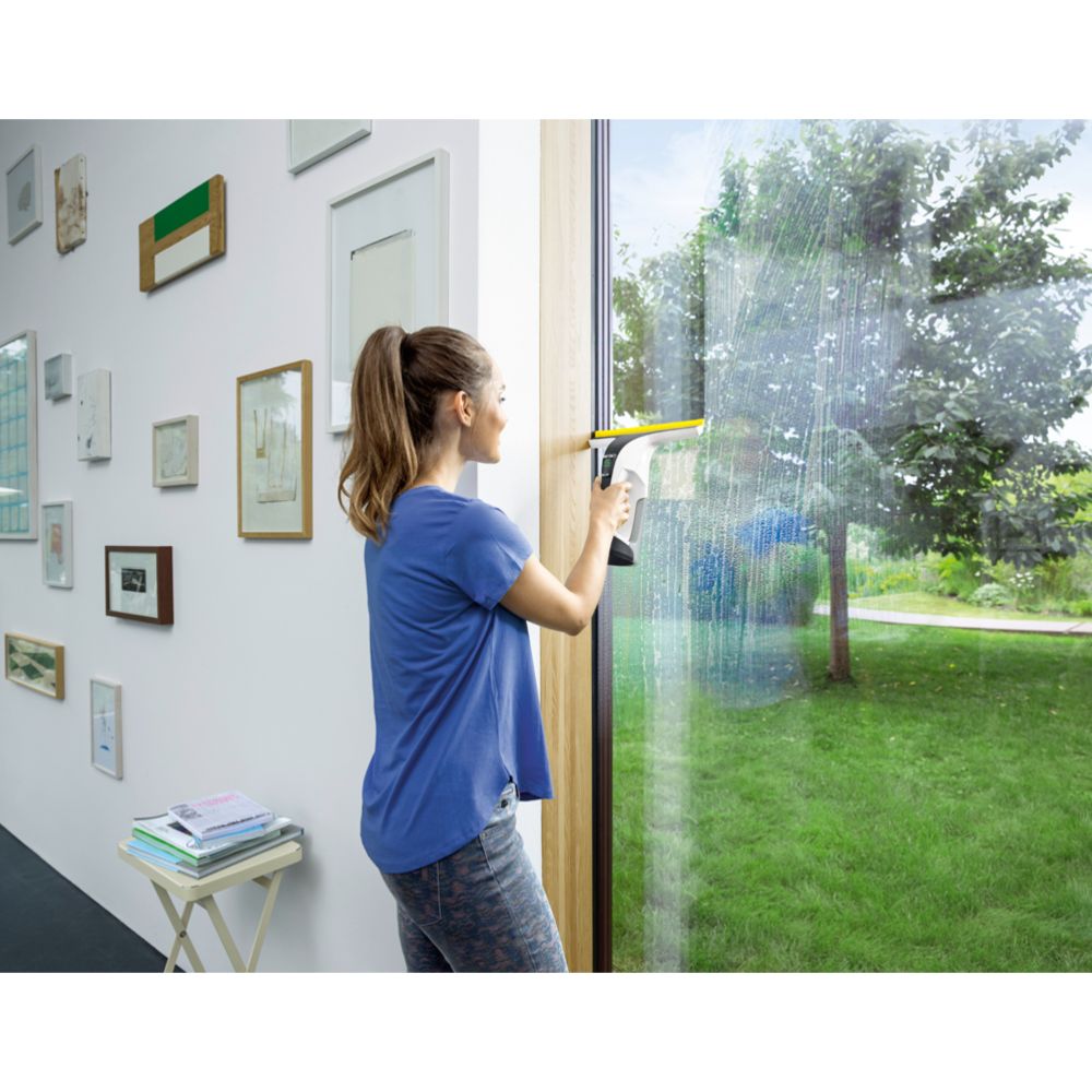 Kärcher WV 6 Plus aknapesur