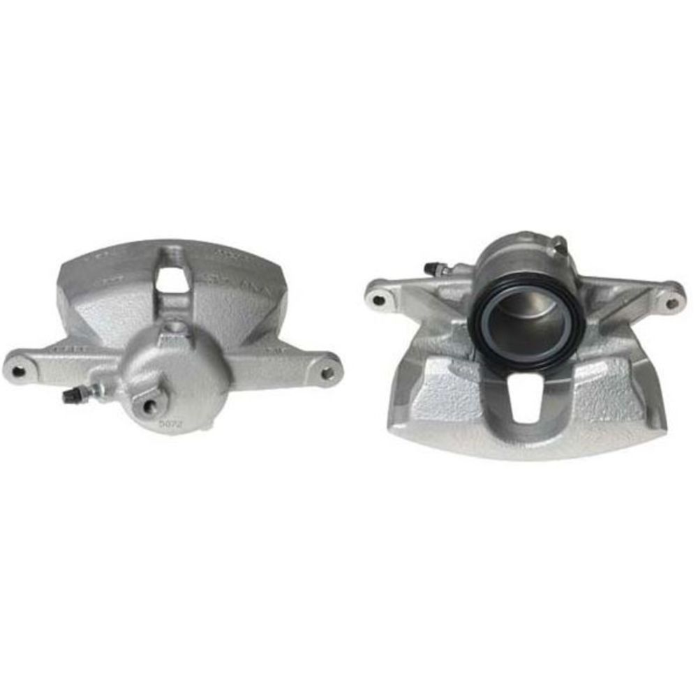 Jarrusatula 23-00063