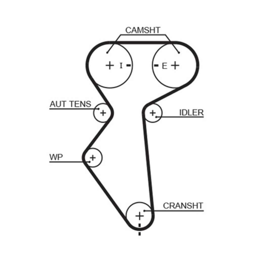 Vesipumppu + hammashihnasarja 25-9569