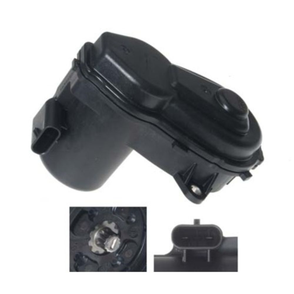 Jarrusatula 23-00901