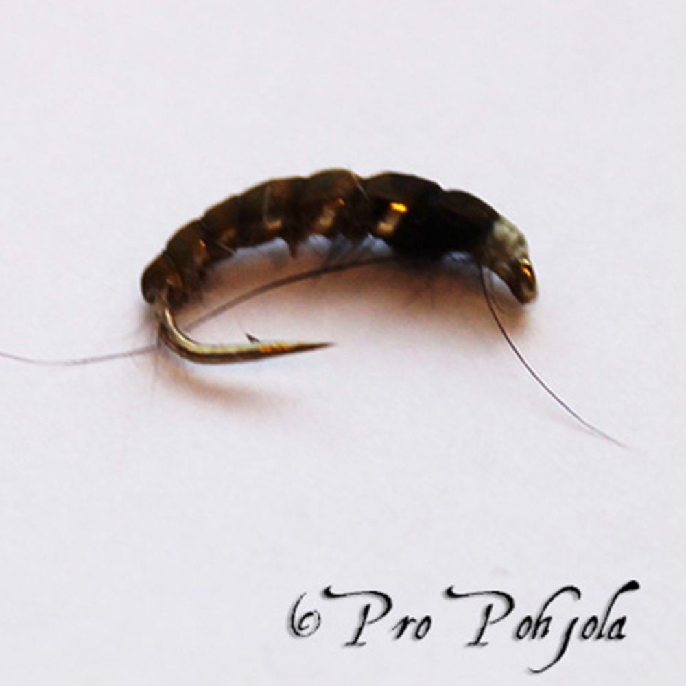 MTX Fishing Pupa uppoperholajitelma 8 kpl
