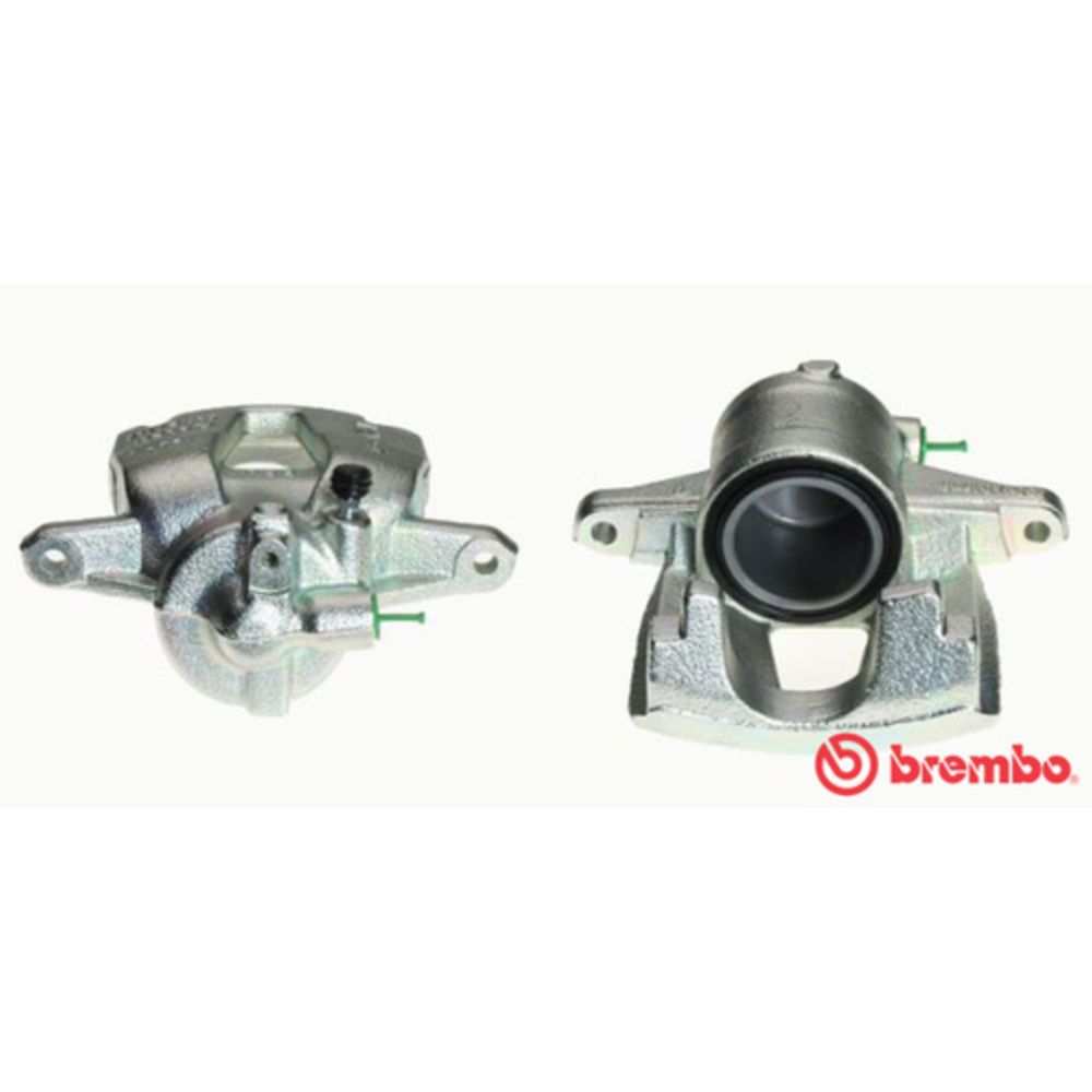 Jarrusatula 23-01211