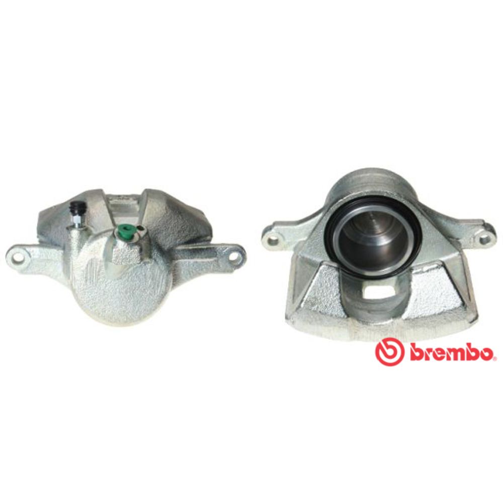Jarrusatula 23-00154