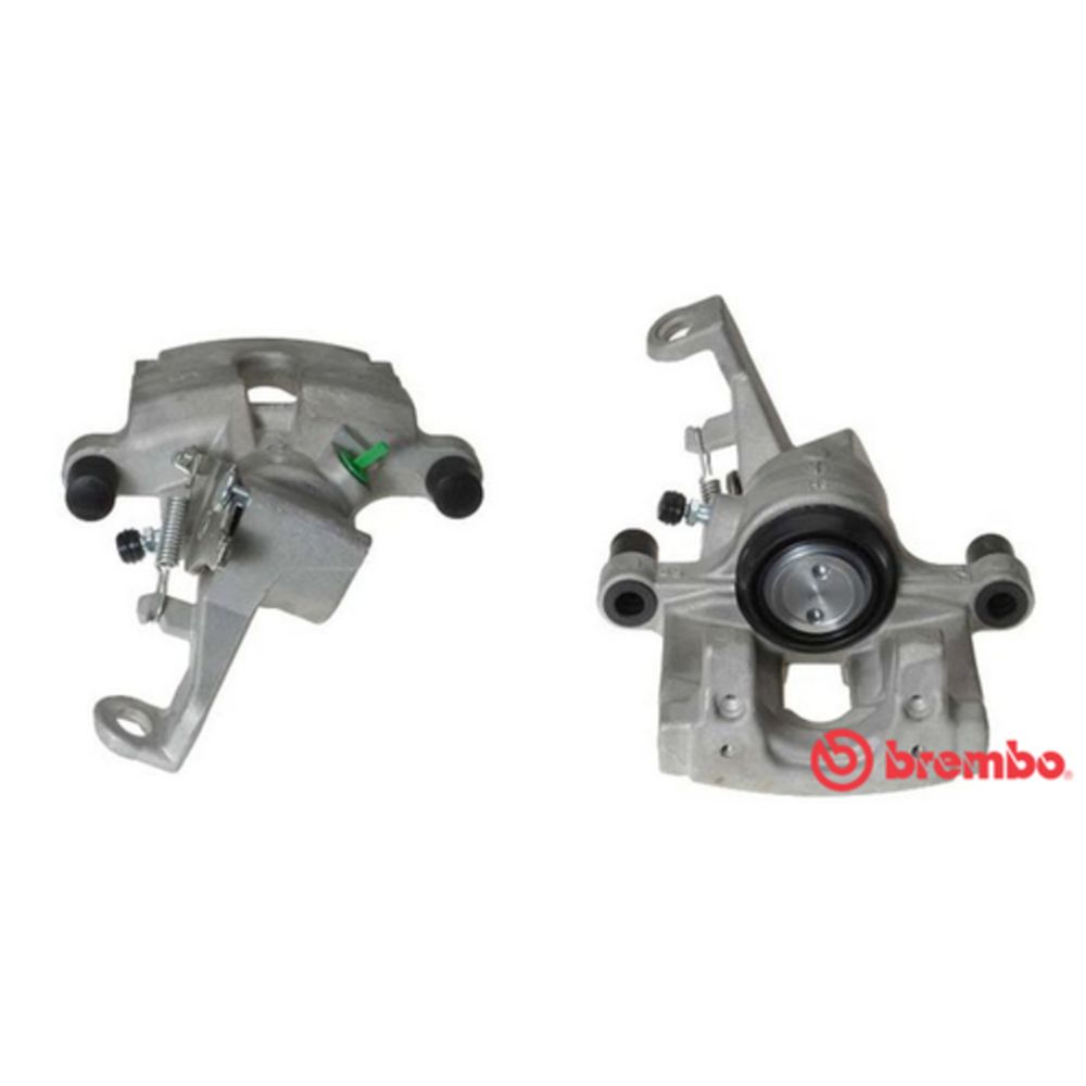 Jarrusatula 23-01354