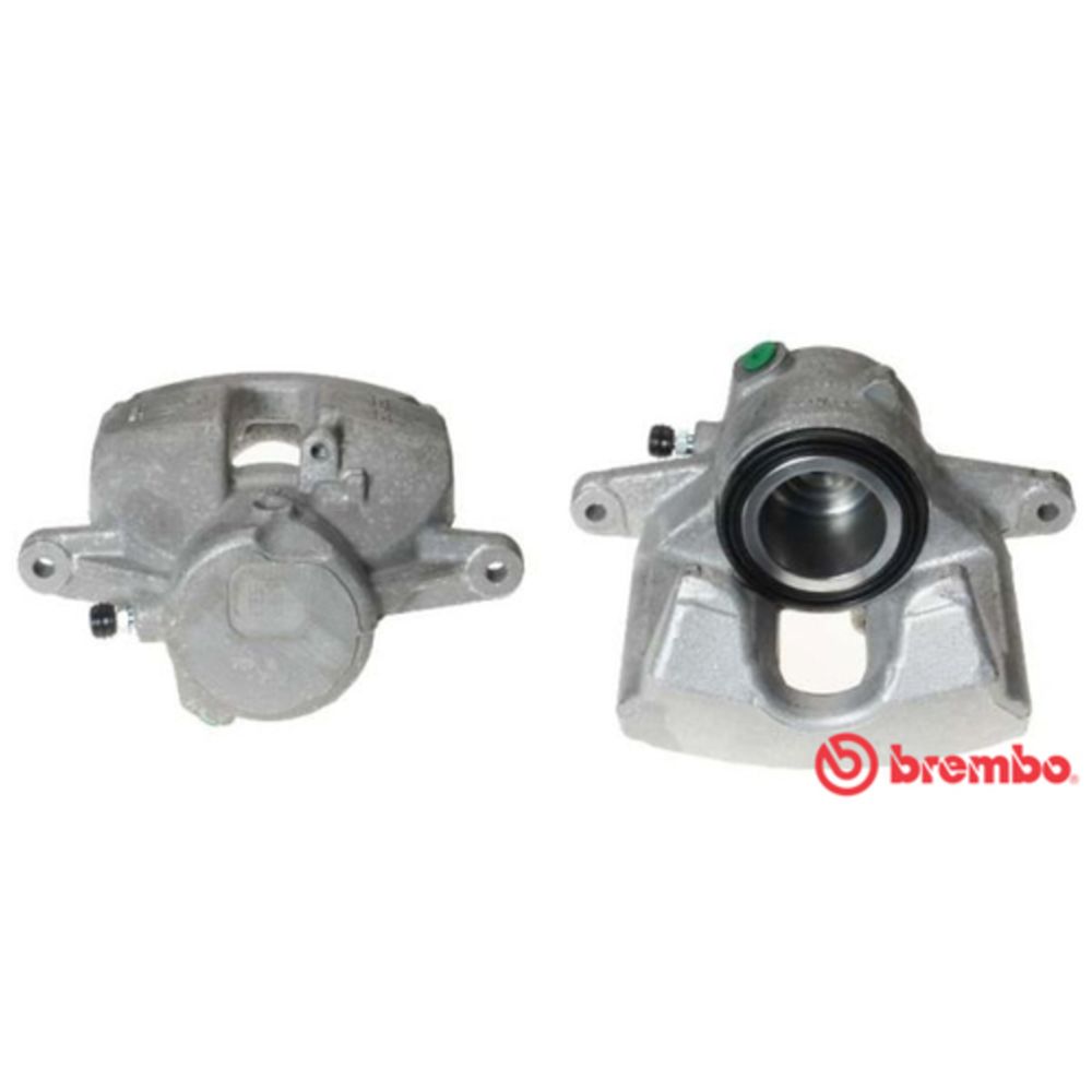 Jarrusatula 23-00985