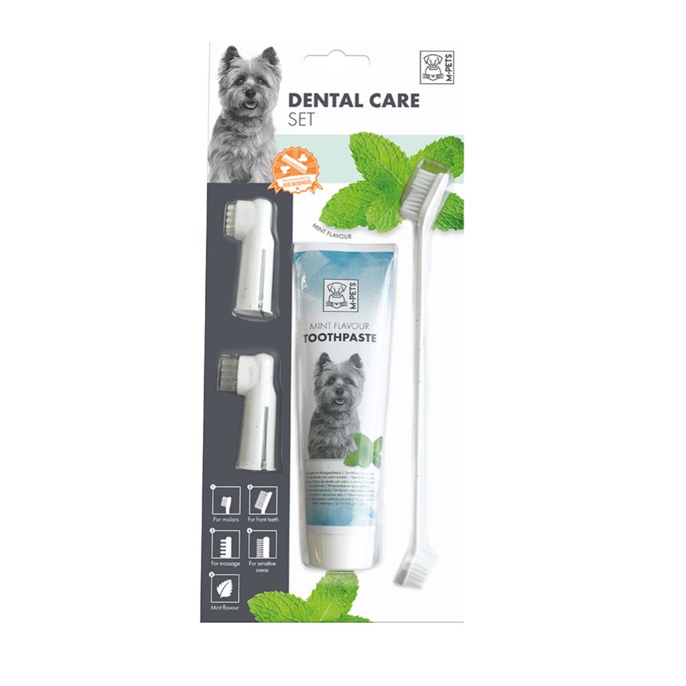 M-PETS dental care hammashoitosetti