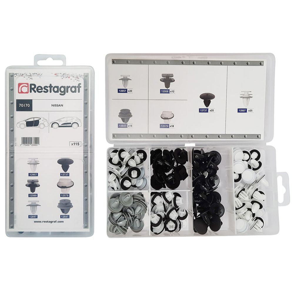 Korikiinnikelajitelma Nissan