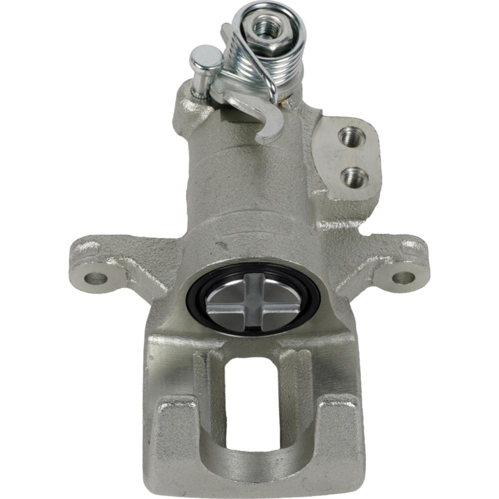 Jarrusatula 23-02742