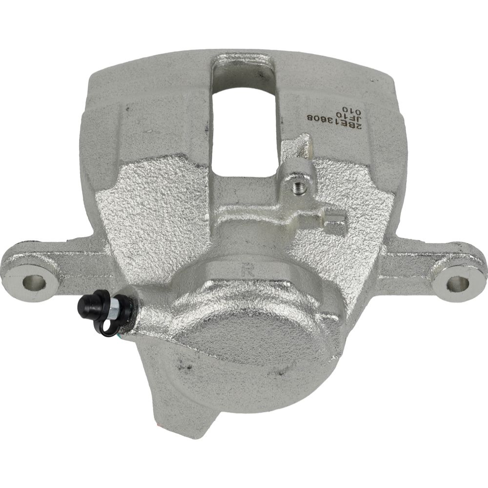 Jarrusatula 23-02762