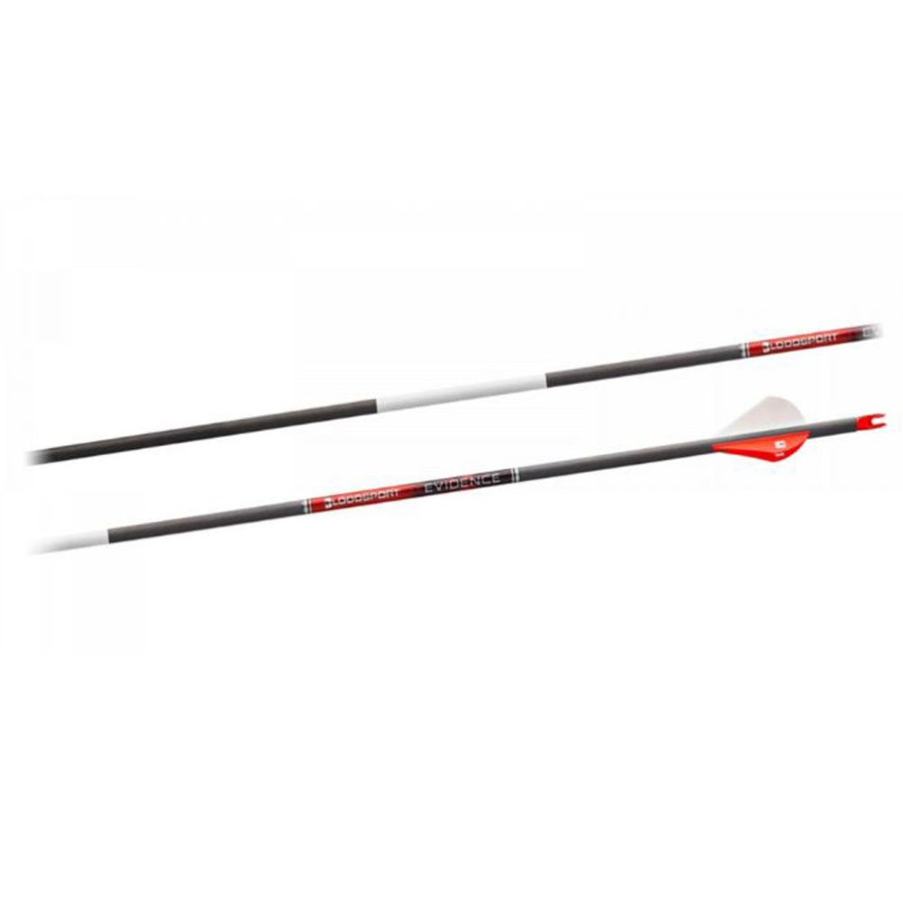 Bloodsport Evidence hiilikuitunuoli Spine 500, mikro halkaisija, 12 kpl