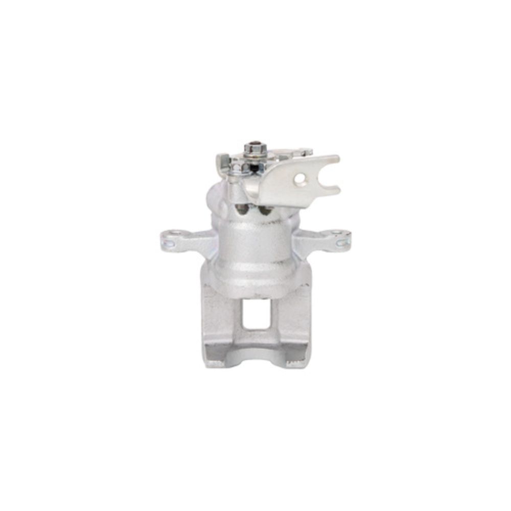 Jarrusatula 23-00428