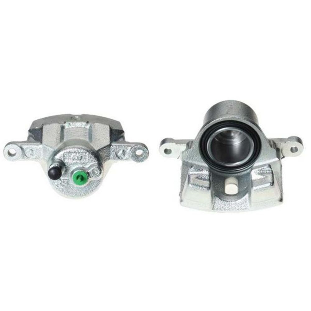 Jarrusatula 23-00157