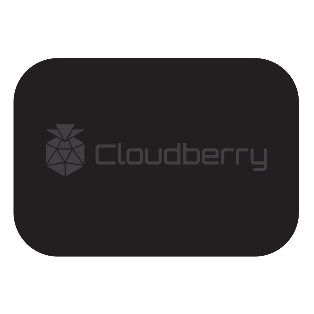Cloudberry MP-76 magnetiga telefonihoidiku vastused, 2 tk