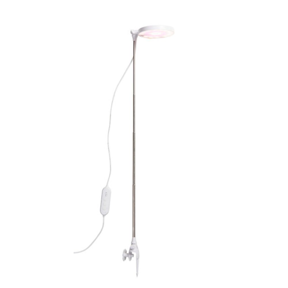 Airam Rose LED växtlampa 10 W 290 lm USB vit