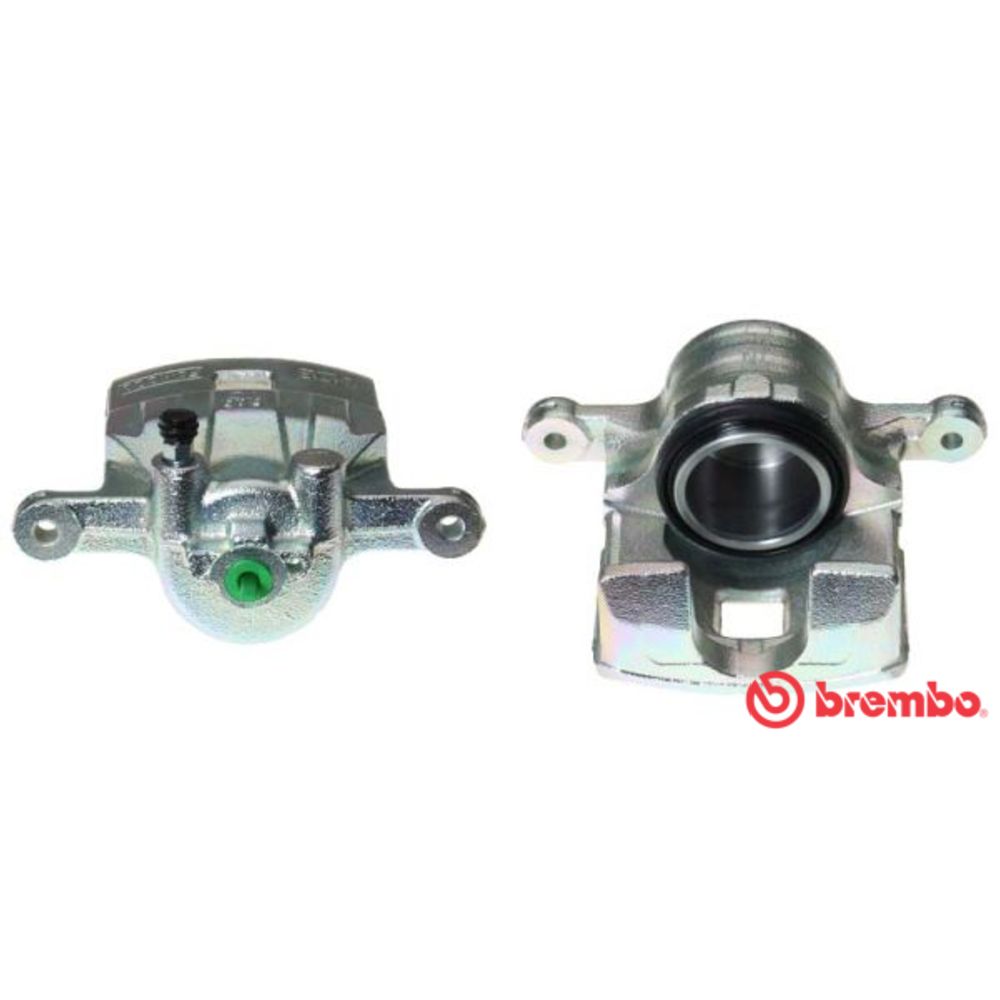 Jarrusatula 23-01372