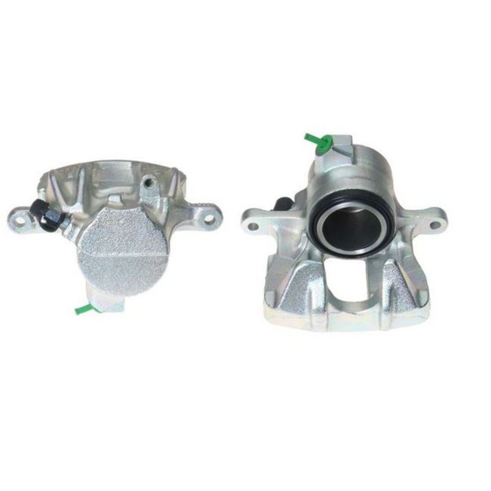 Jarrusatula 23-00337