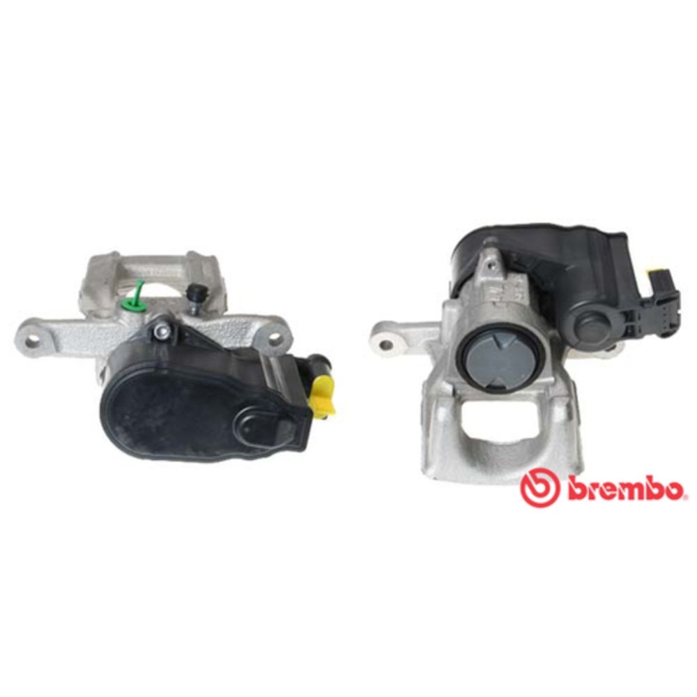 Jarrusatula 23-00918