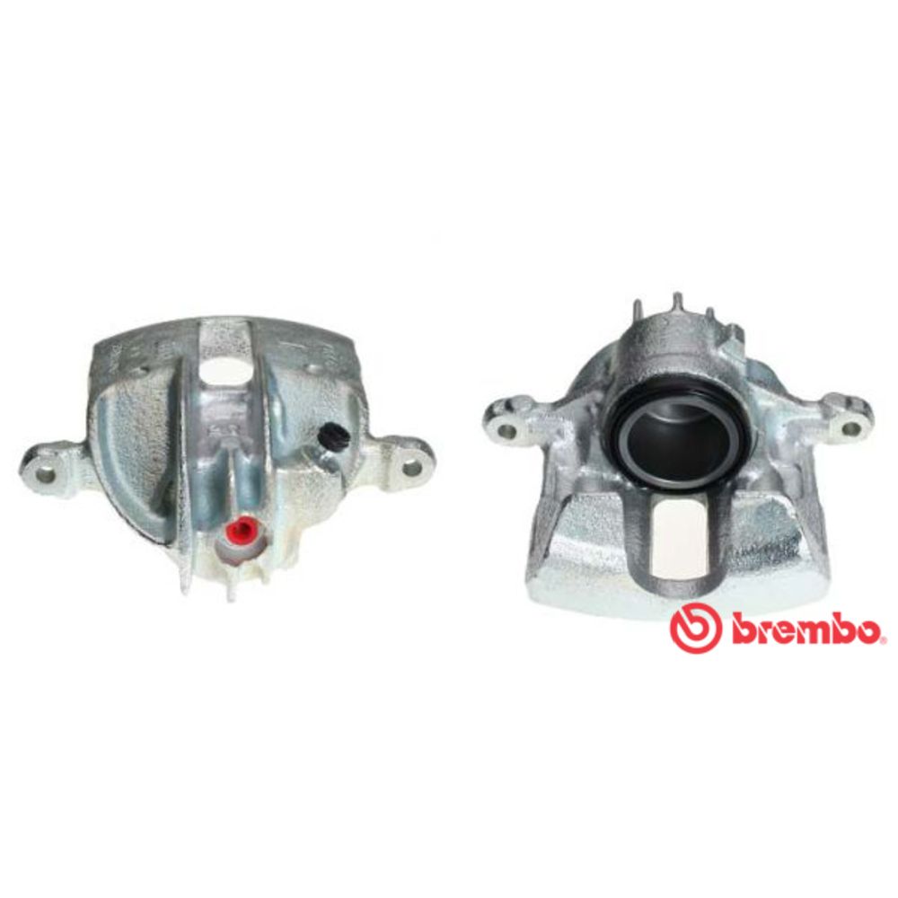 Jarrusatula 23-9700