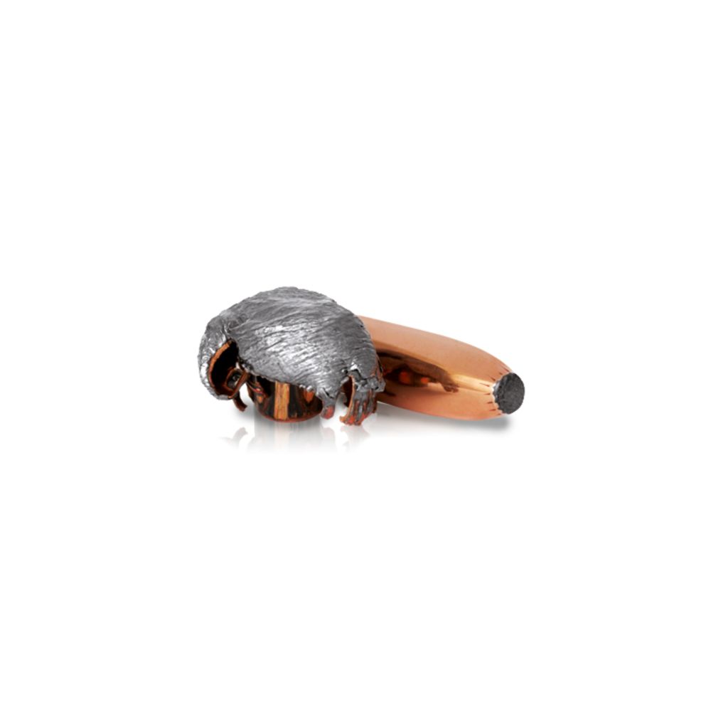 Norma .338 Win. Mag. 14,9 g/230 gr Oryx 20 kpl