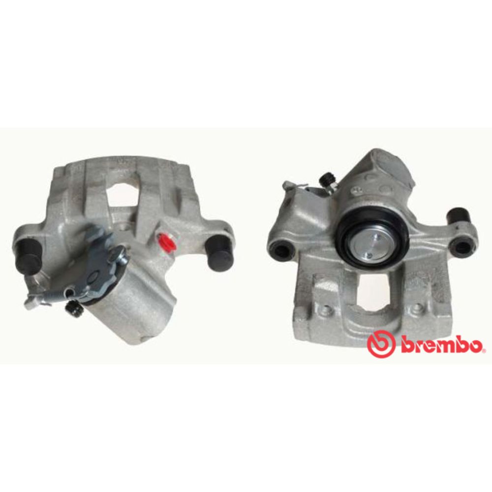 Jarrusatula 23-00532