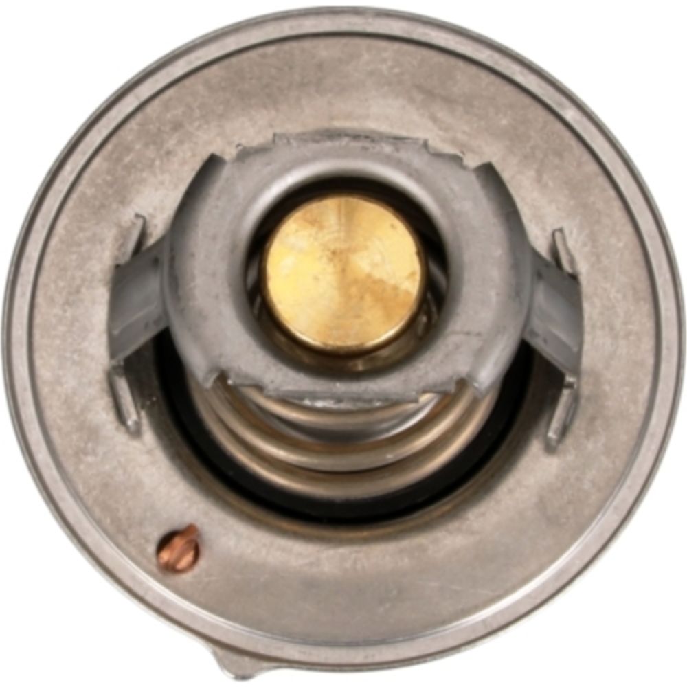 Termostat 30-06608