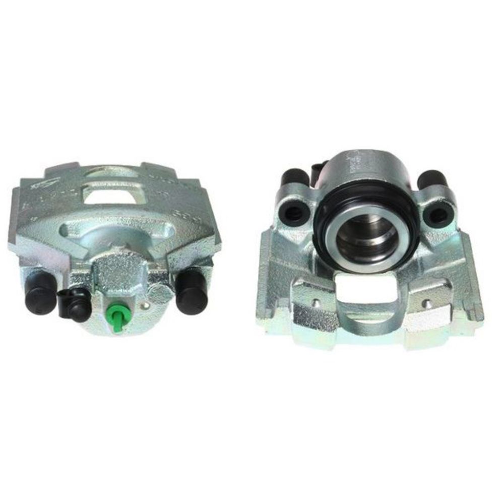 Jarrusatula 23-00137