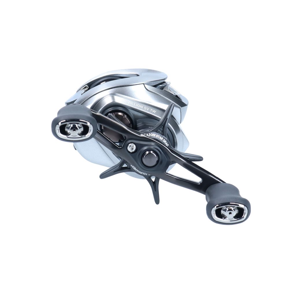 Daiwa 21 Zillion SV TW 100H multirulle