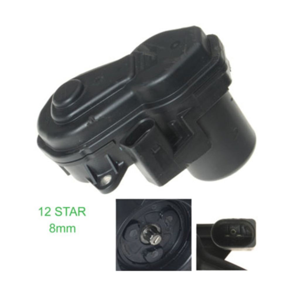 Jarrusatula 23-00947